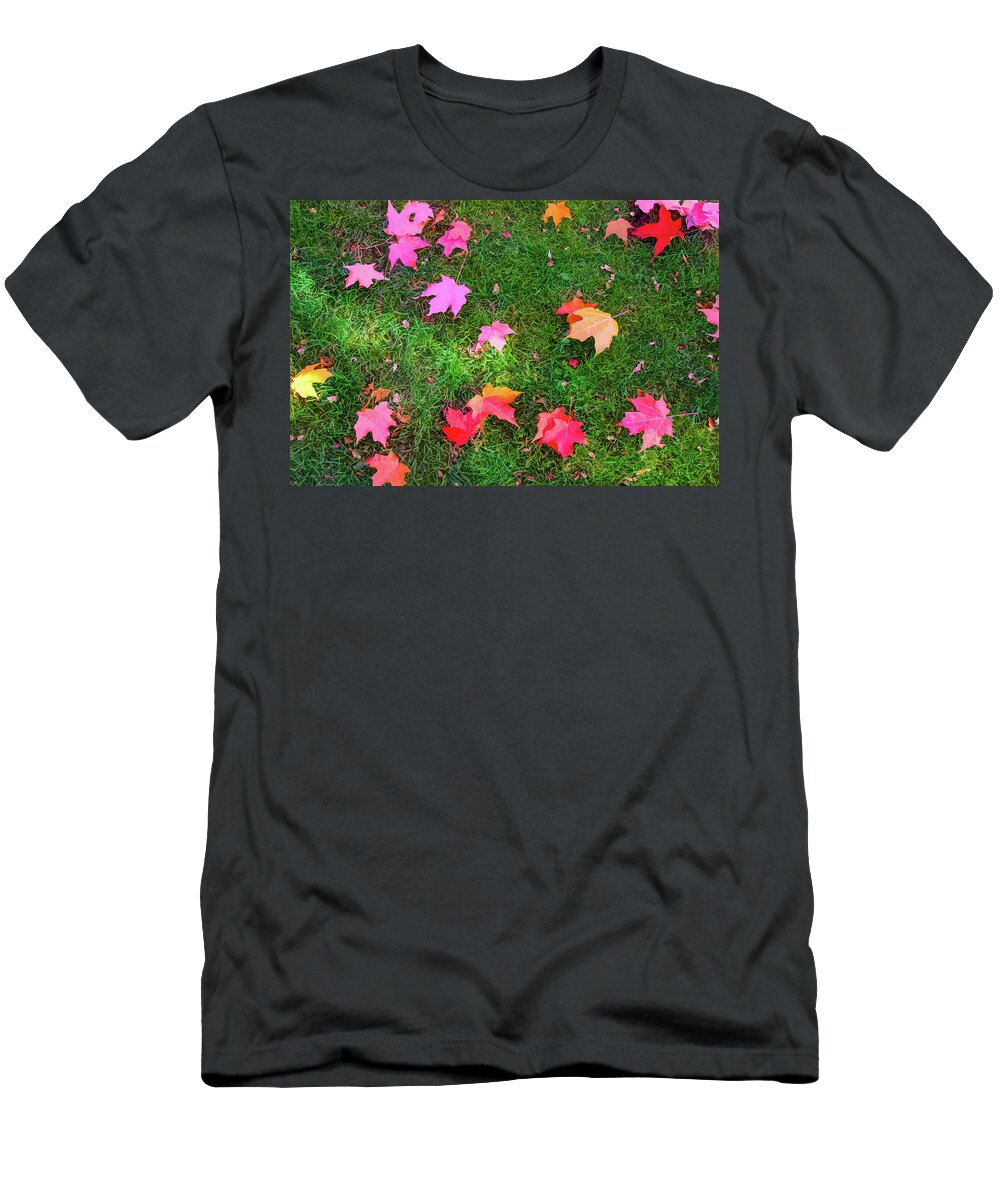 Splendor In The Grass T-Shirt featuring the photograph Splendor in the Grass by Bonnie Follett