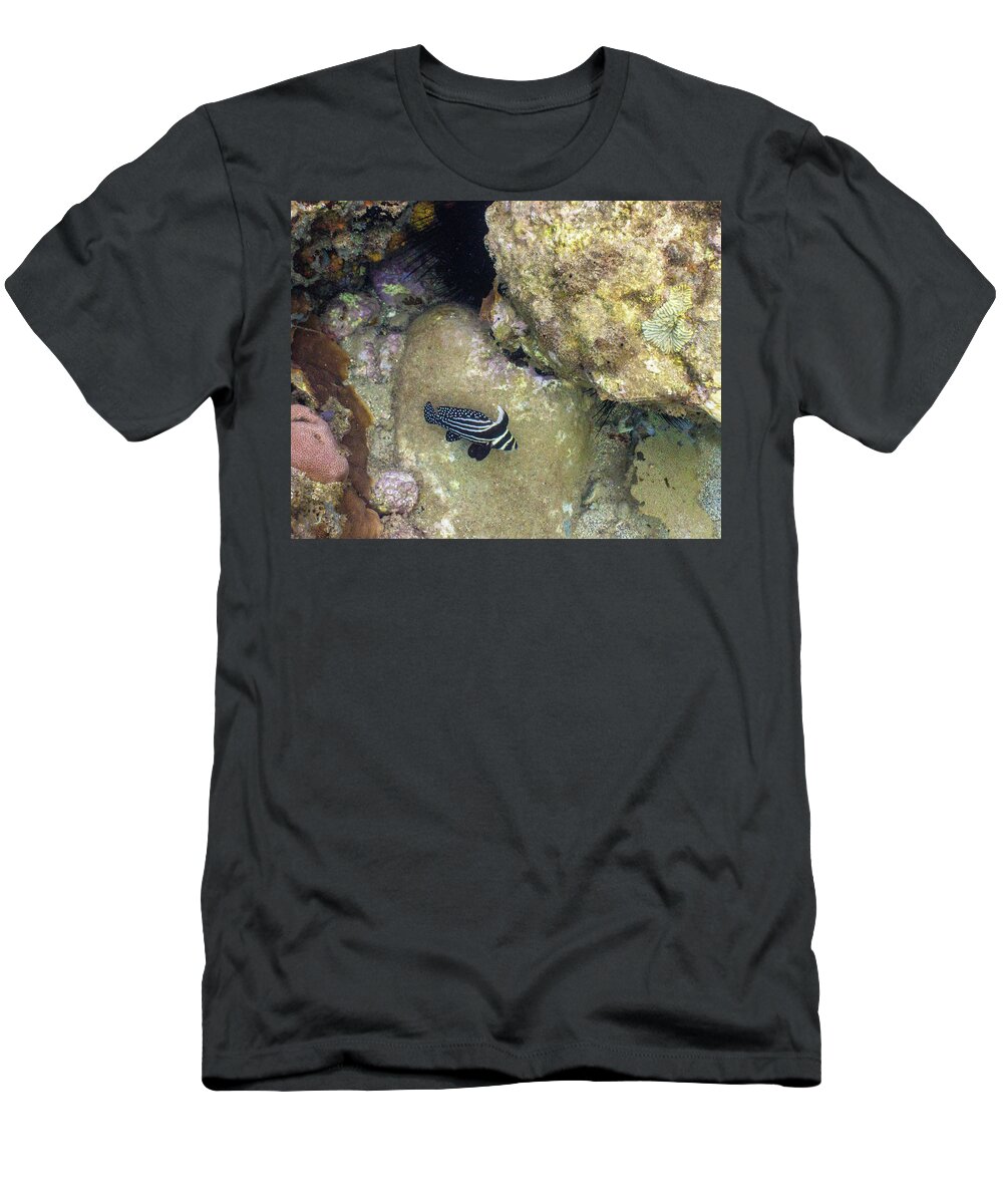 Ocean T-Shirt featuring the photograph Spots and Stripes by Lynne Browne