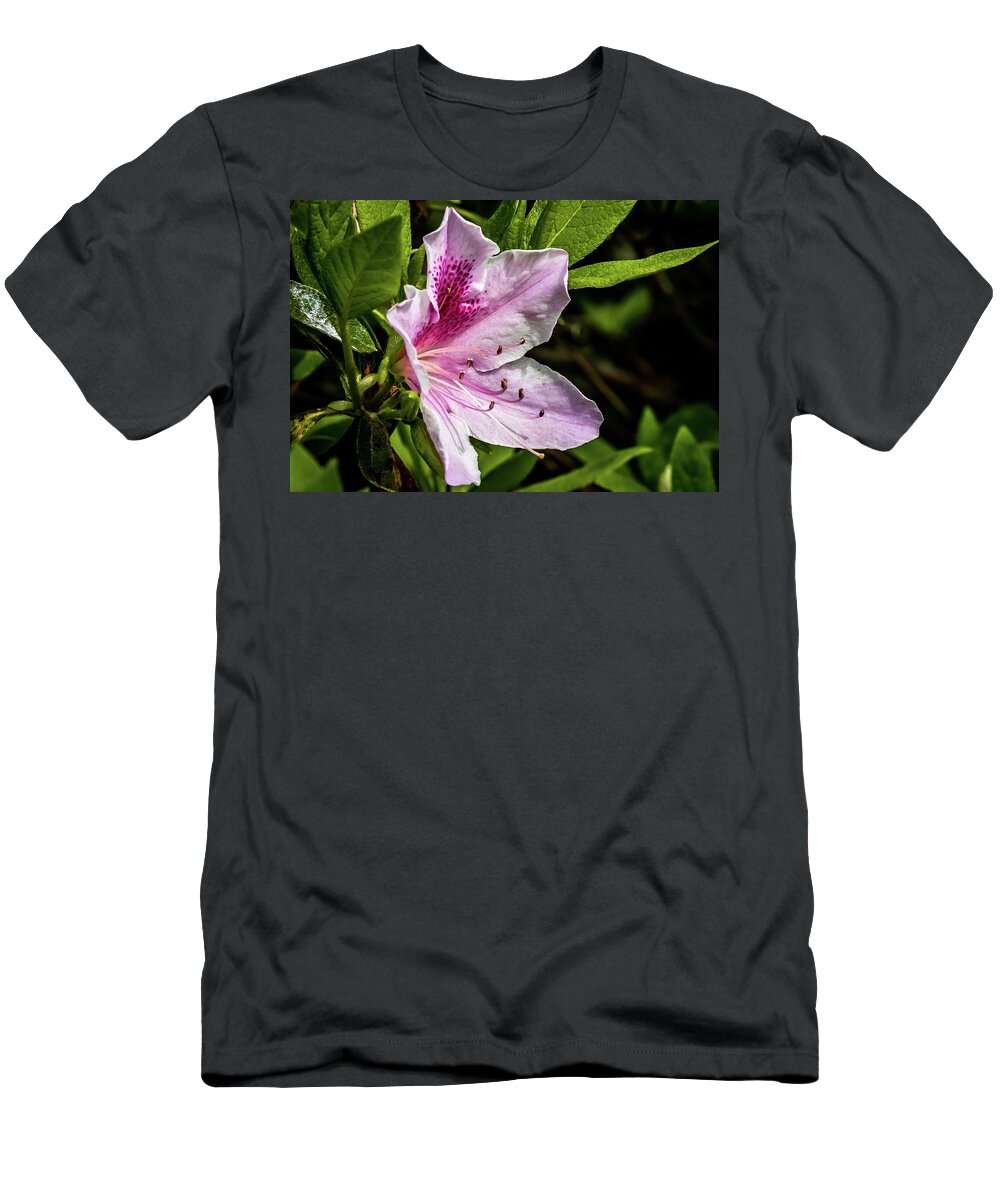 Flower T-Shirt featuring the digital art Spotted Pink Azalea in Spring by Ed Stines
