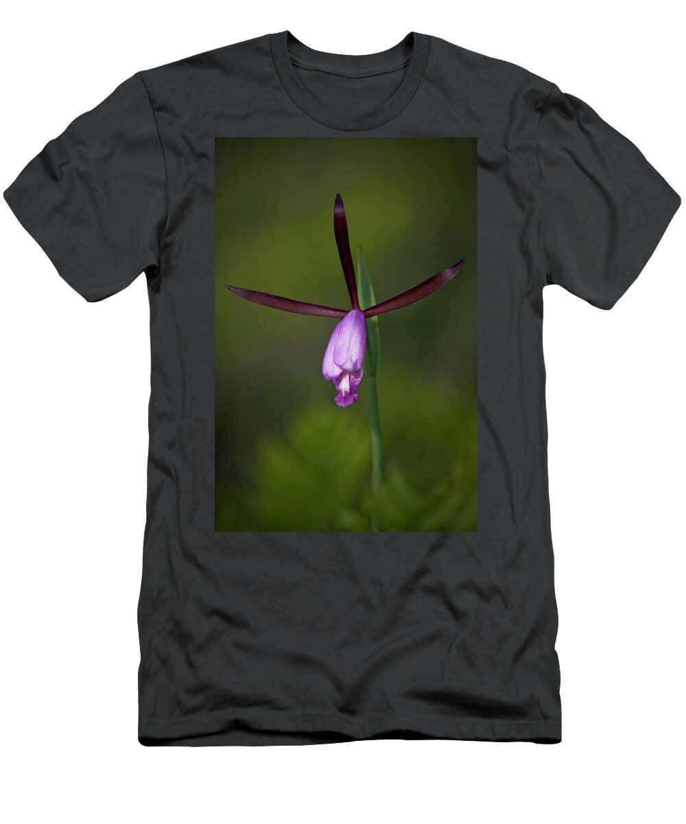 Orchid T-Shirt featuring the photograph Spreading Pogonia by Bob Decker