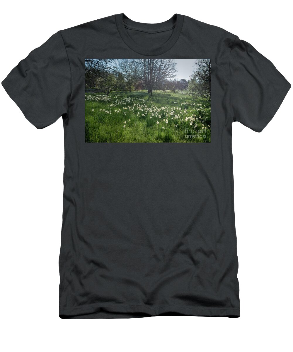 Spring T-Shirt featuring the photograph Spring Daffodils in the Orchard  by Perry Rodriguez