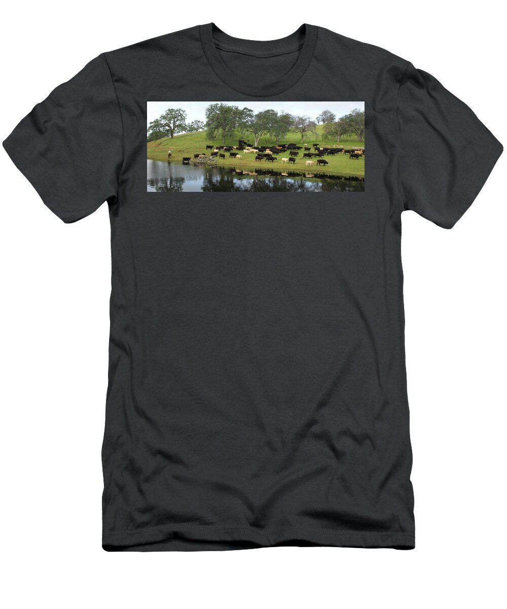 Cattle T-Shirt featuring the photograph Spring Gather by Diane Bohna