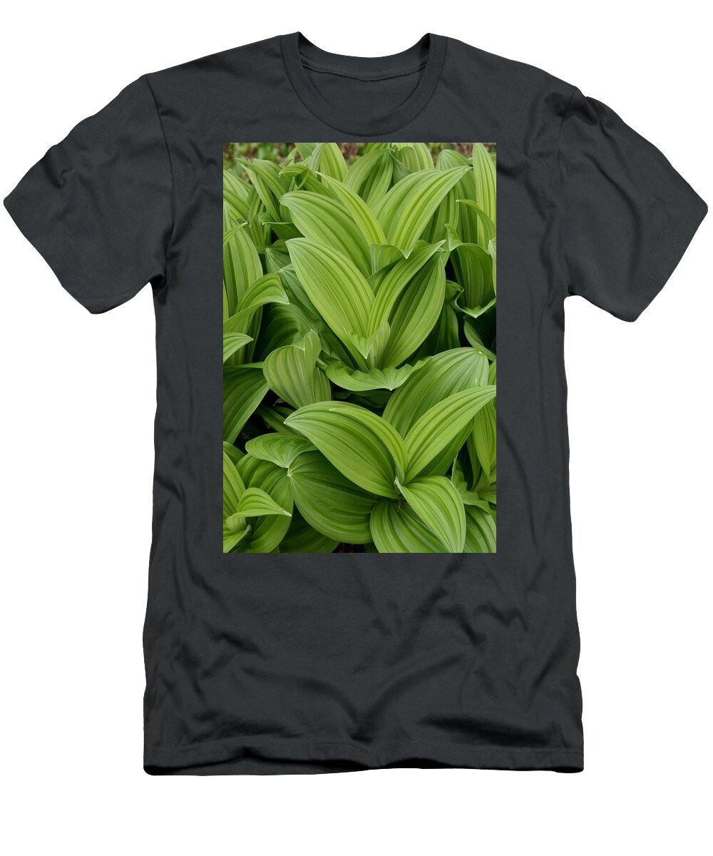 Plants T-Shirt featuring the photograph Spring Green by Angie Schutt