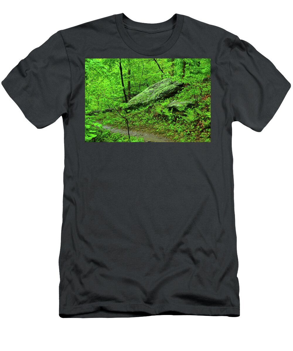 Spring Green In West Virginia T-Shirt featuring the photograph Spring Green in West Virginia by Raymond Salani III