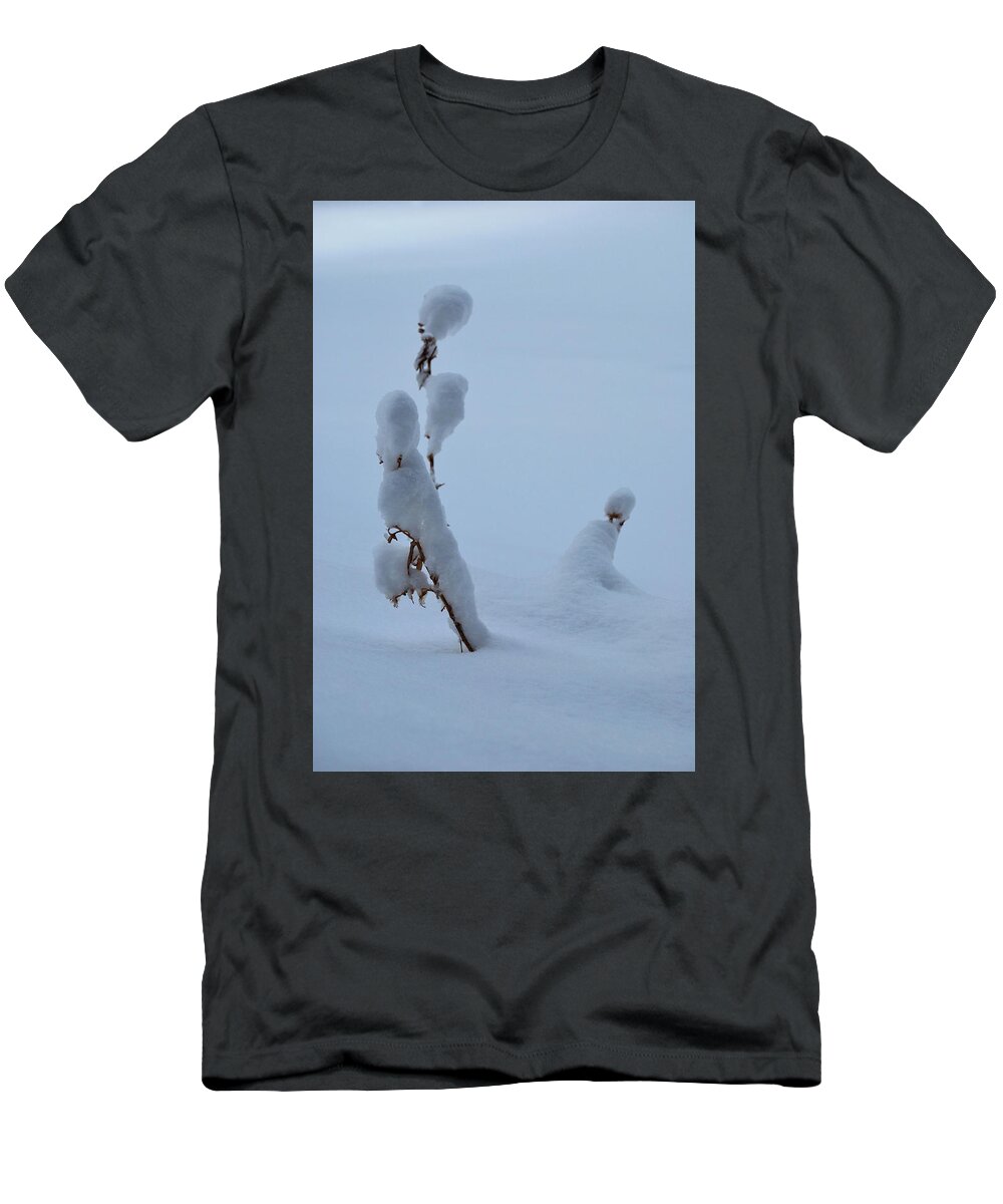 Landscape T-Shirt featuring the photograph Spring Snow by Ron Cline