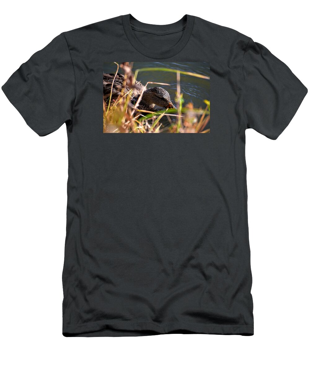 Duck T-Shirt featuring the photograph Square Duck by Michael Brungardt