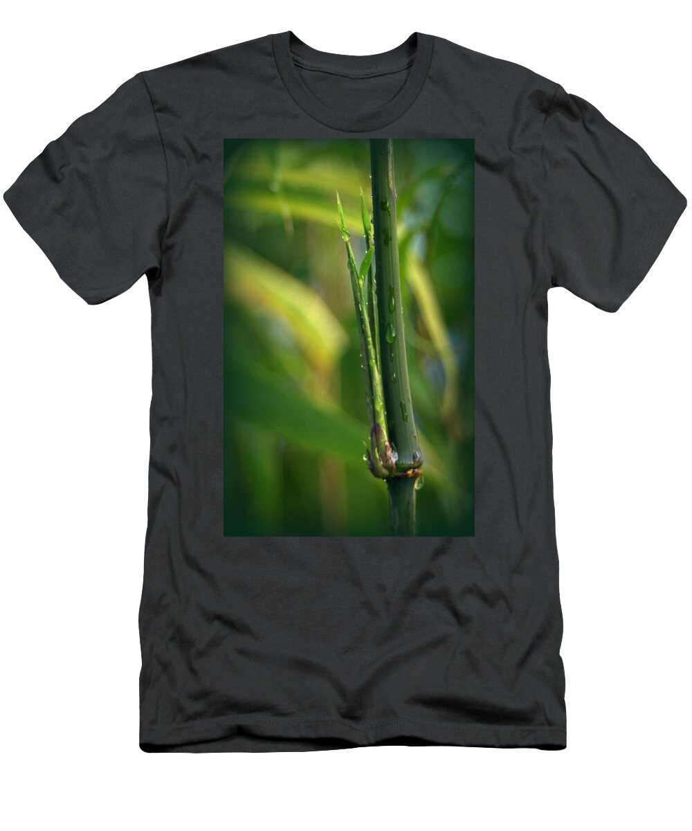 Bamboo T-Shirt featuring the photograph Square Stem Bamboo by Nathan Abbott
