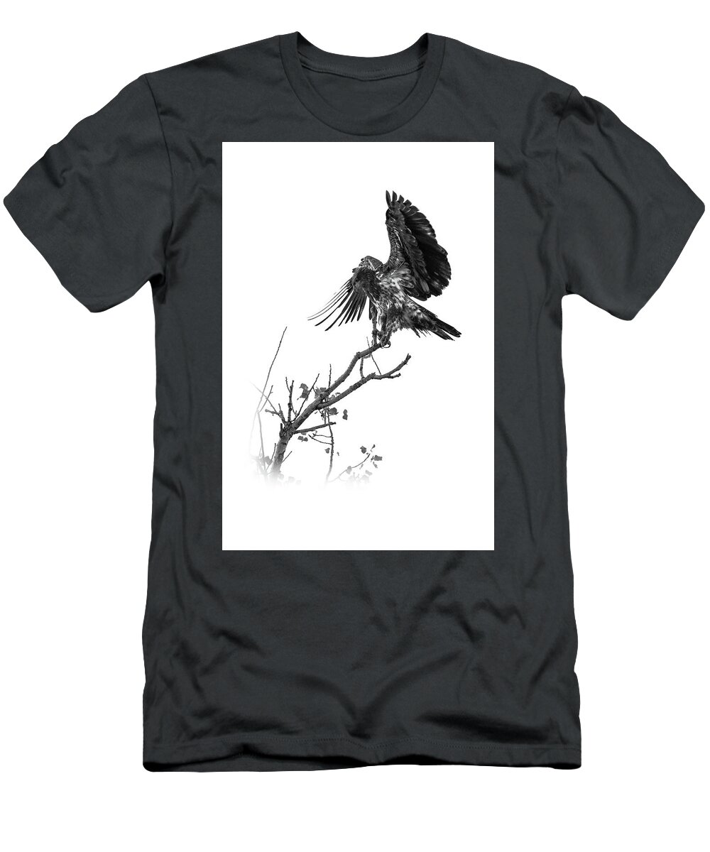 Hawk T-Shirt featuring the photograph Squaw Creek Red-tail by Jeff Phillippi