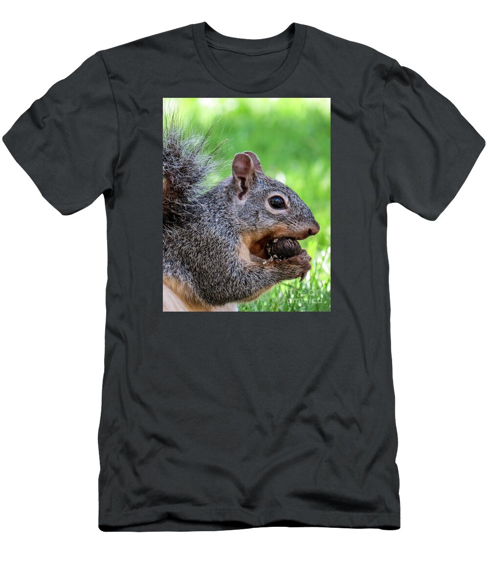 Outdoors T-Shirt featuring the photograph Squirrel 1 by Christy Garavetto