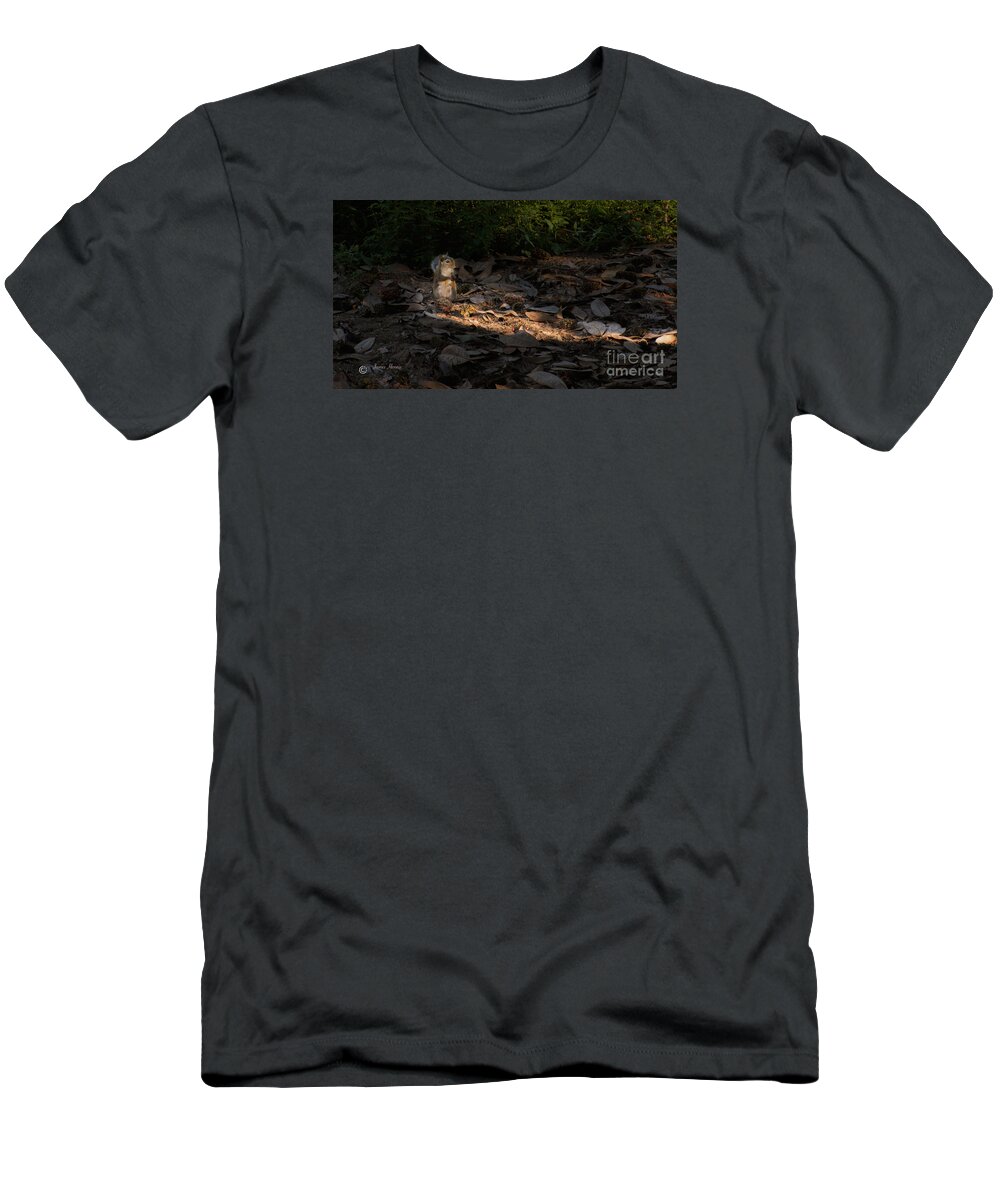 Squirrel T-Shirt featuring the photograph Squirrel sees the light by Metaphor Photo
