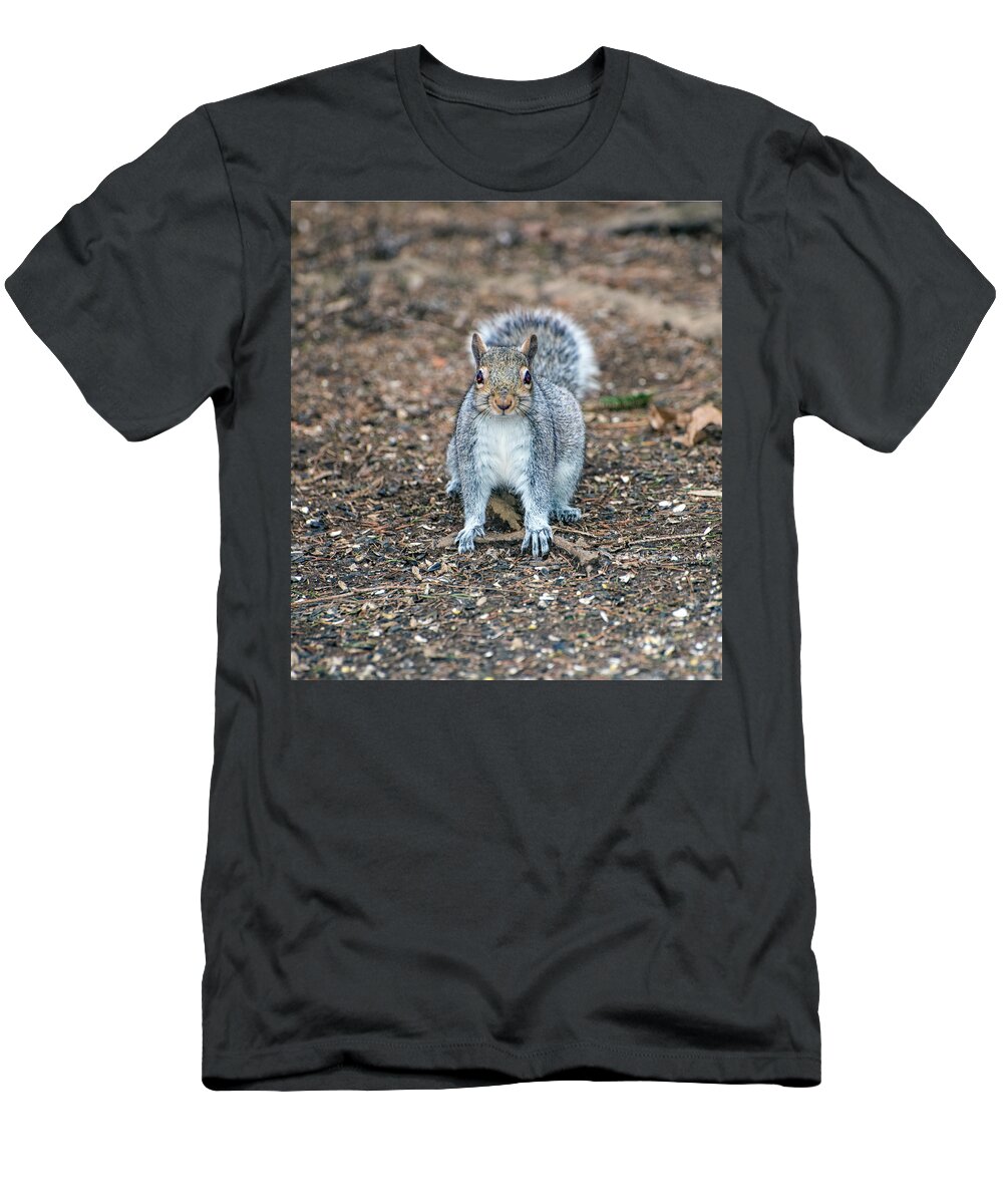 Animals T-Shirt featuring the photograph Squriel Full Face by Paul Ross