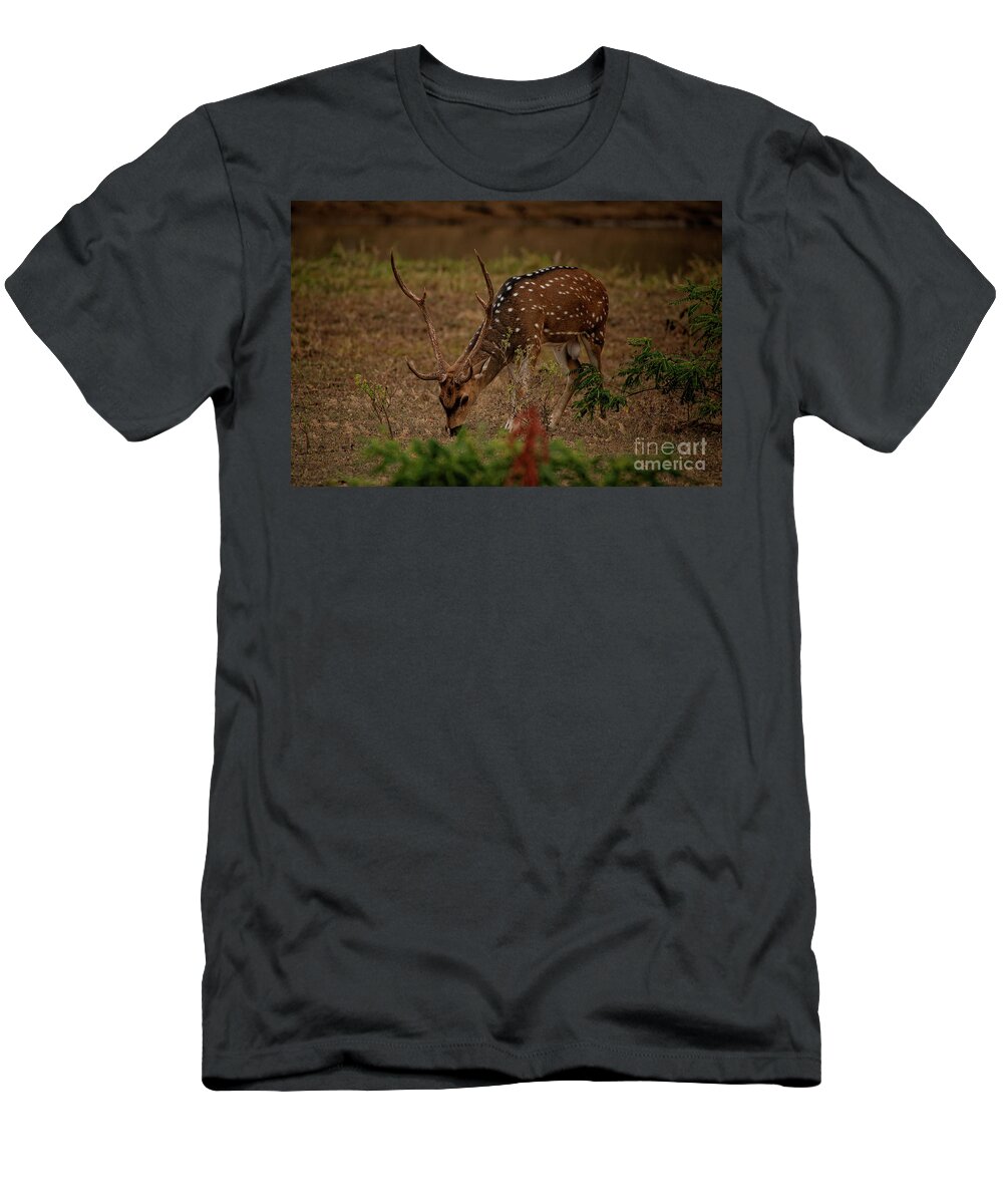  Yala National Park T-Shirt featuring the photograph Sri Lankan axis deer by Venura Herath