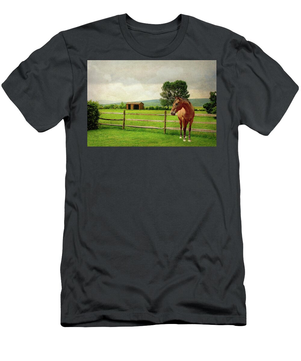 Landscape T-Shirt featuring the photograph Stallion at Fence by Diana Angstadt