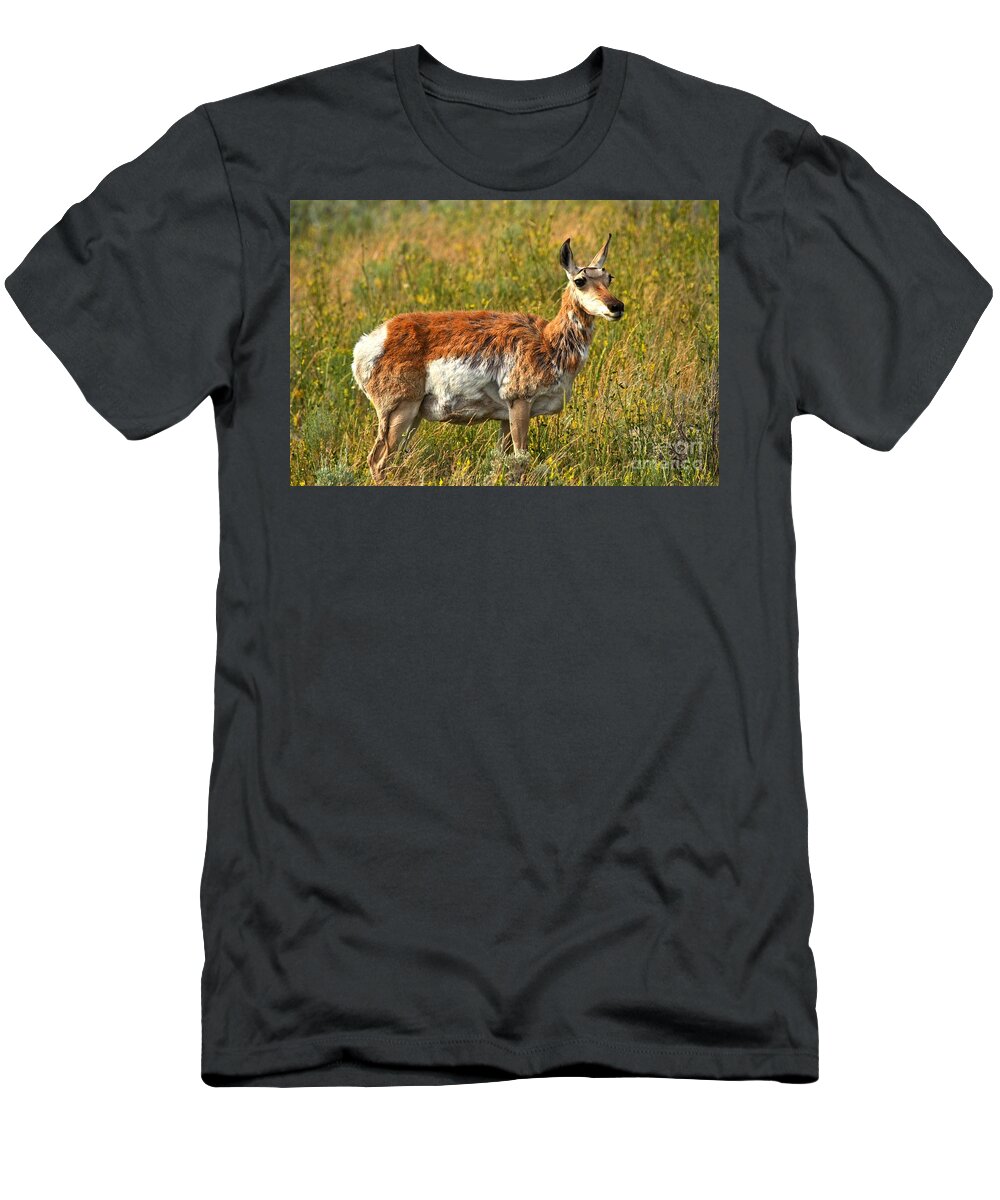 Pronghorn T-Shirt featuring the photograph Standing In The Golden Valley by Adam Jewell