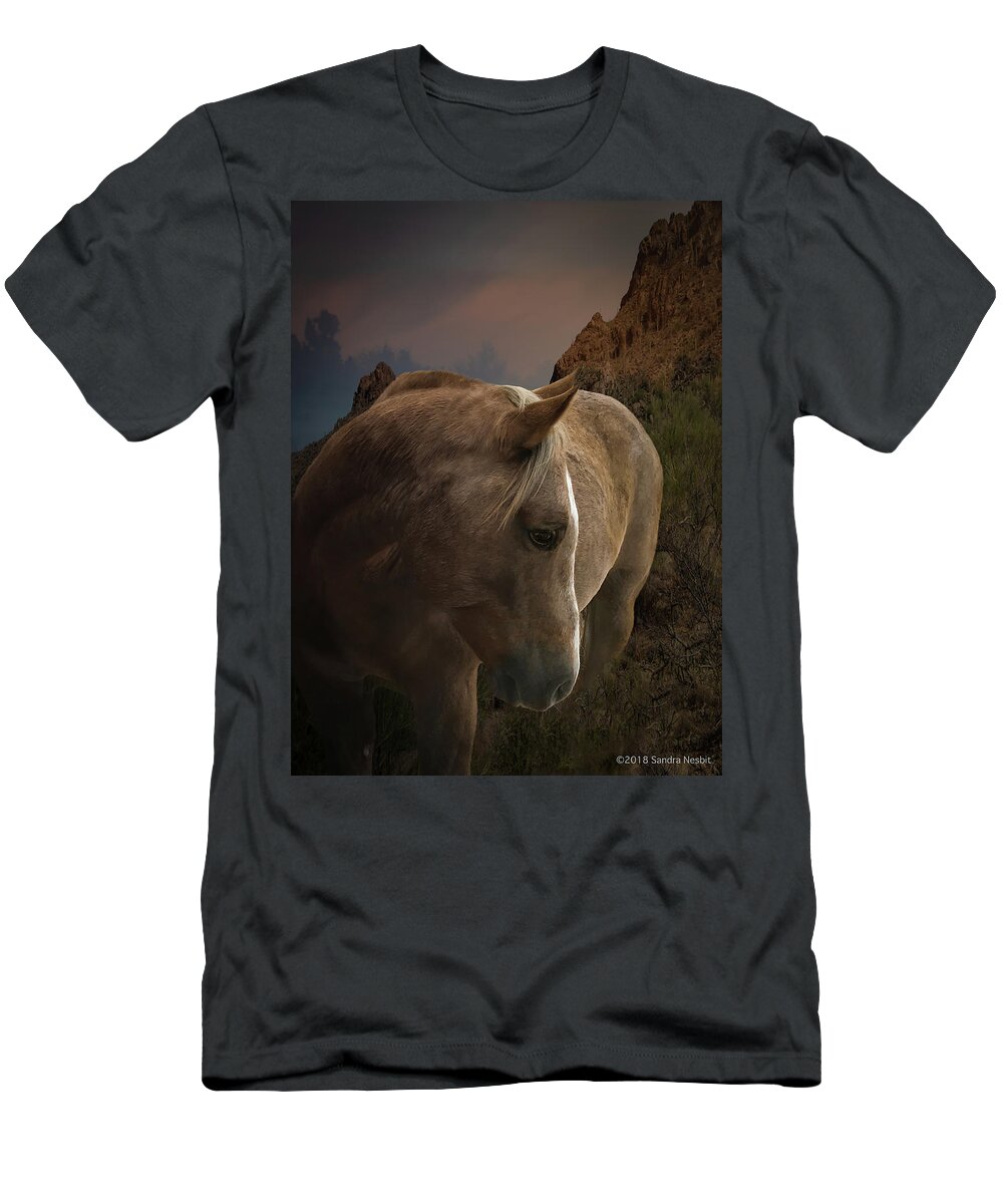 Horse T-Shirt featuring the photograph Stardust by Sandra Nesbit