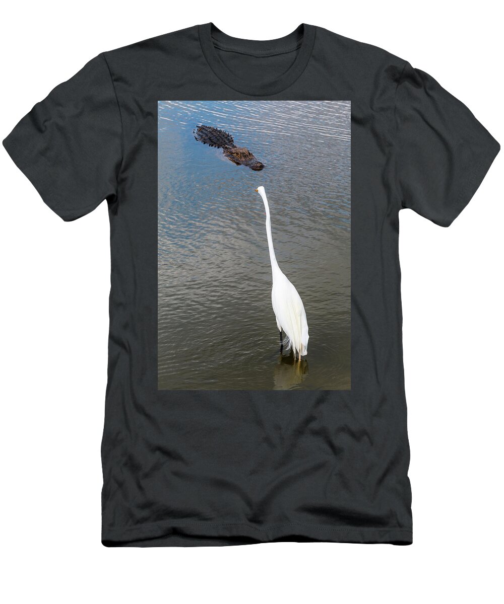 Alligator T-Shirt featuring the photograph Staredown at Hunting Beach State Park - March 31, 2017 by D K Wall