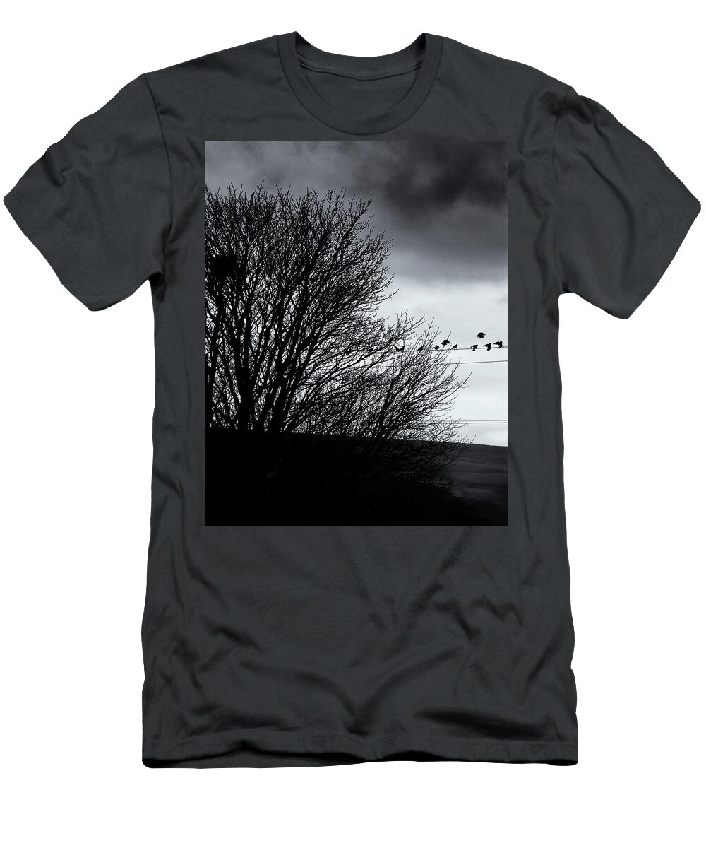Starlings T-Shirt featuring the photograph Starlings Roost by Philip Openshaw