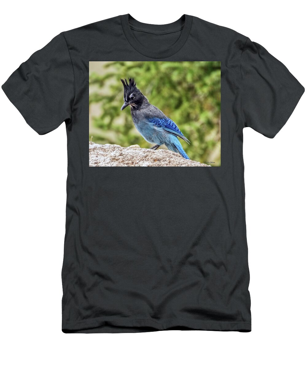 Steller's Jay T-Shirt featuring the photograph Steller's Jay on Granite by Stephen Johnson