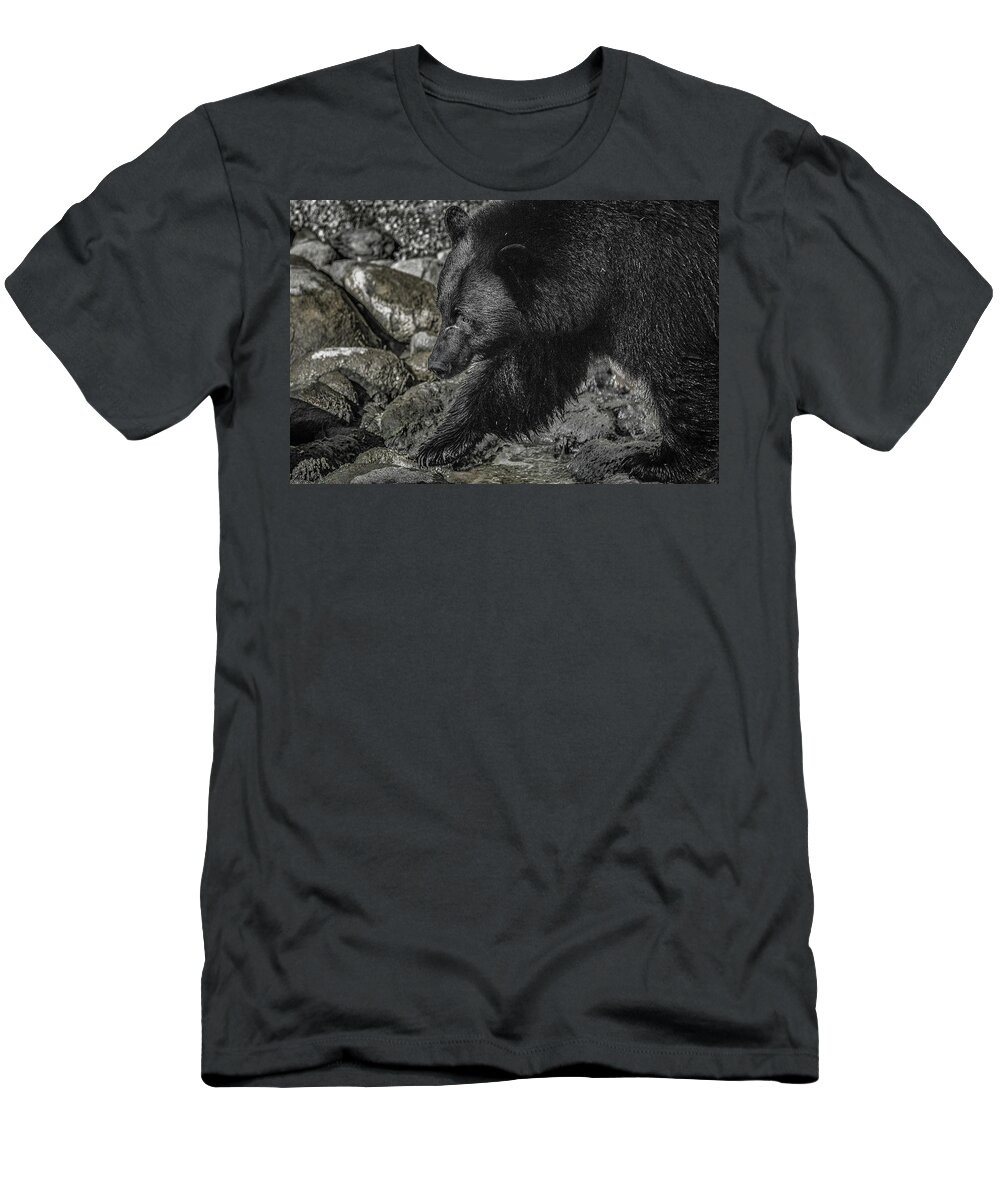 Black Bear T-Shirt featuring the photograph Stepping into the Creek Black Bear by Roxy Hurtubise