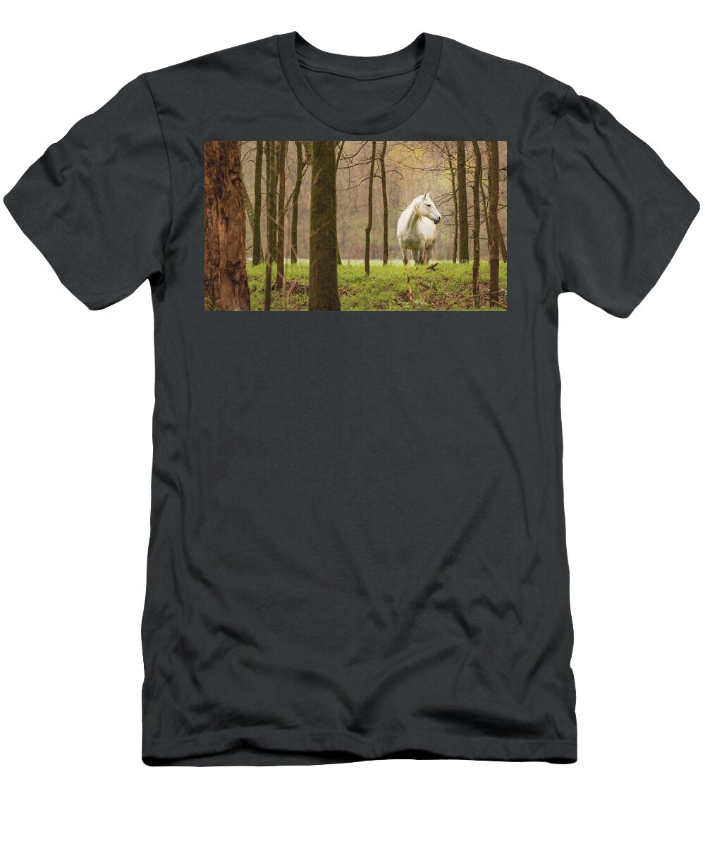 Missouri Wild Horses T-Shirt featuring the photograph Stepping into the Wild by Holly Ross