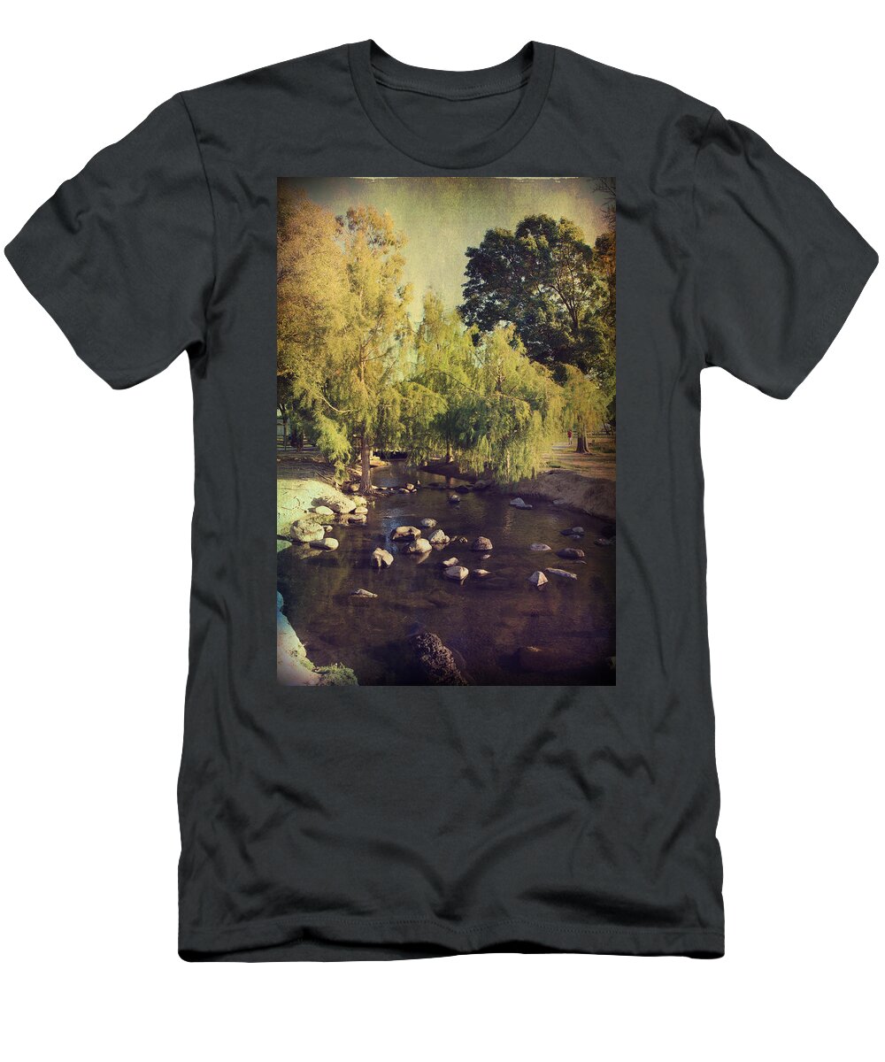 Landscapes T-Shirt featuring the photograph Stepping Stones to My Heart by Laurie Search