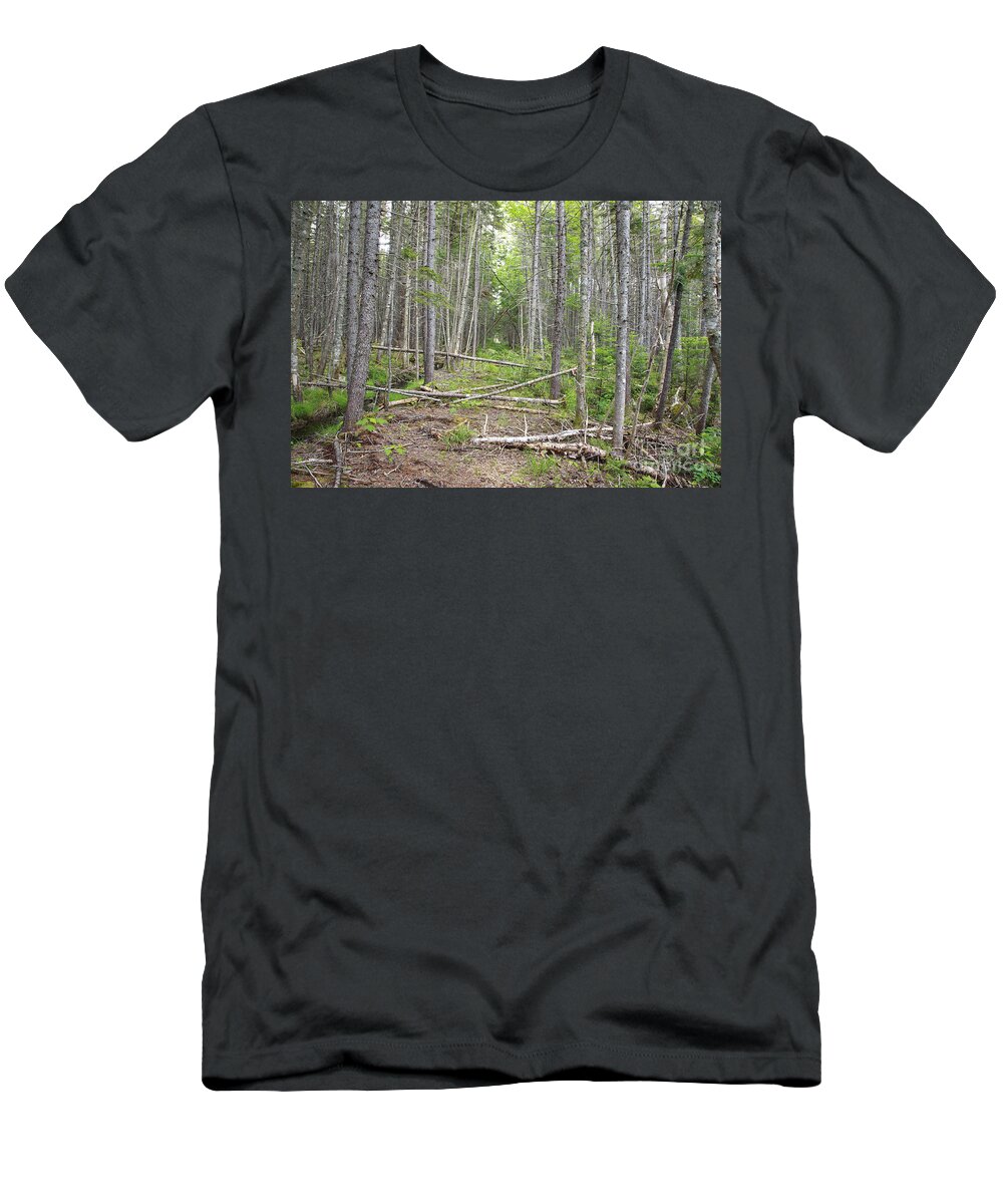 White Mountain National Forest T-Shirt featuring the photograph Stillwater Junction - White Mountains New Hampshire by Erin Paul Donovan