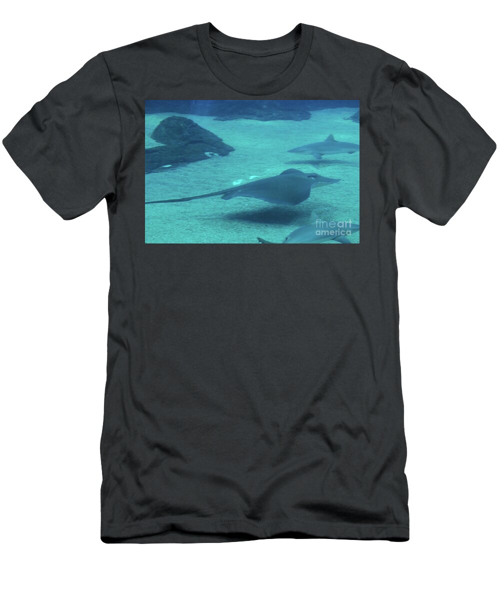 Stingray T-Shirt featuring the photograph Stingrays Swimming with Sharks Along the Sandy Ocean Floor by DejaVu Designs