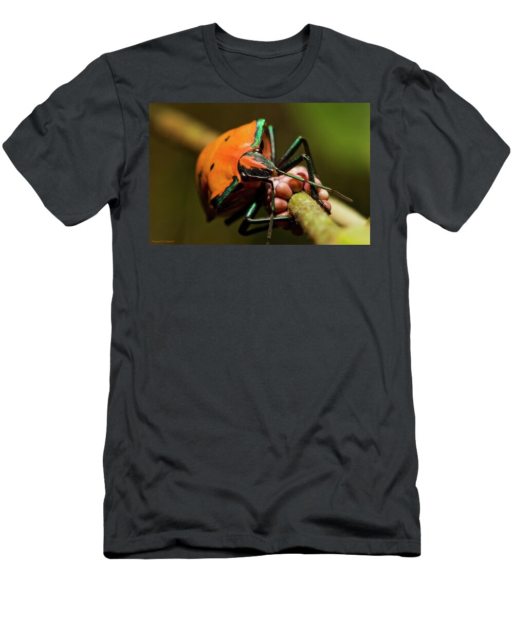 Macro Photography T-Shirt featuring the photograph Stink bug 666 by Kevin Chippindall