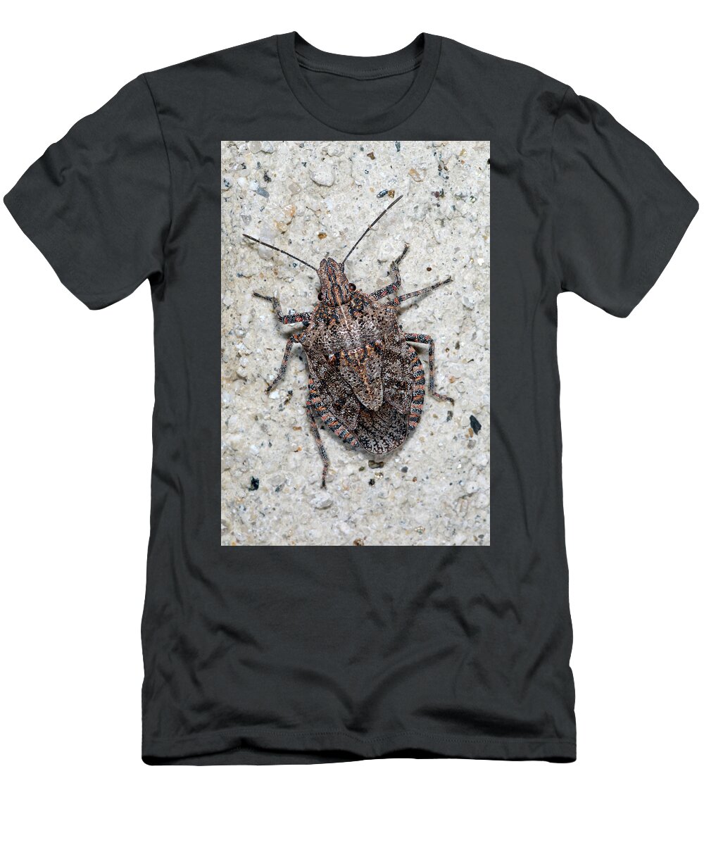 Stink Bug T-Shirt featuring the photograph Stink Bug by Breck Bartholomew