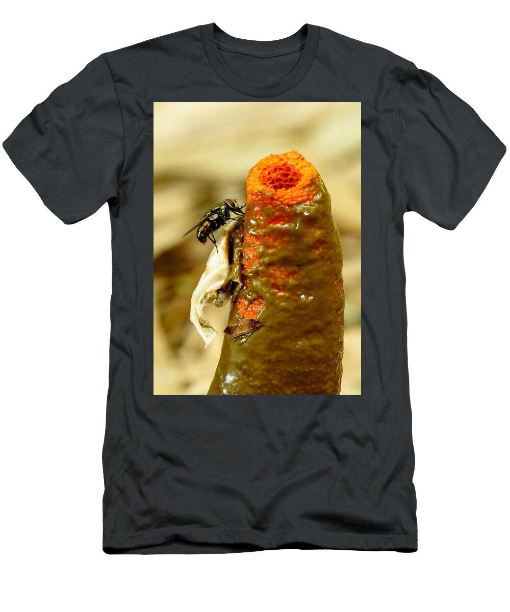 Mutinus Elegans T-Shirt featuring the photograph Tip Of Stinkhorn Mushroom With Fly by Daniel Reed
