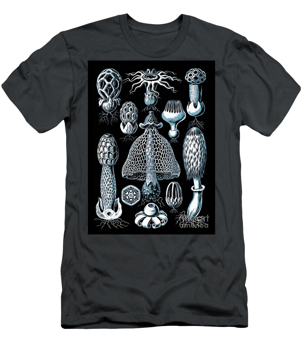 Scientific T-Shirt featuring the drawing Stinkhorn Mushrooms Vintage Illustration by Edward Fielding