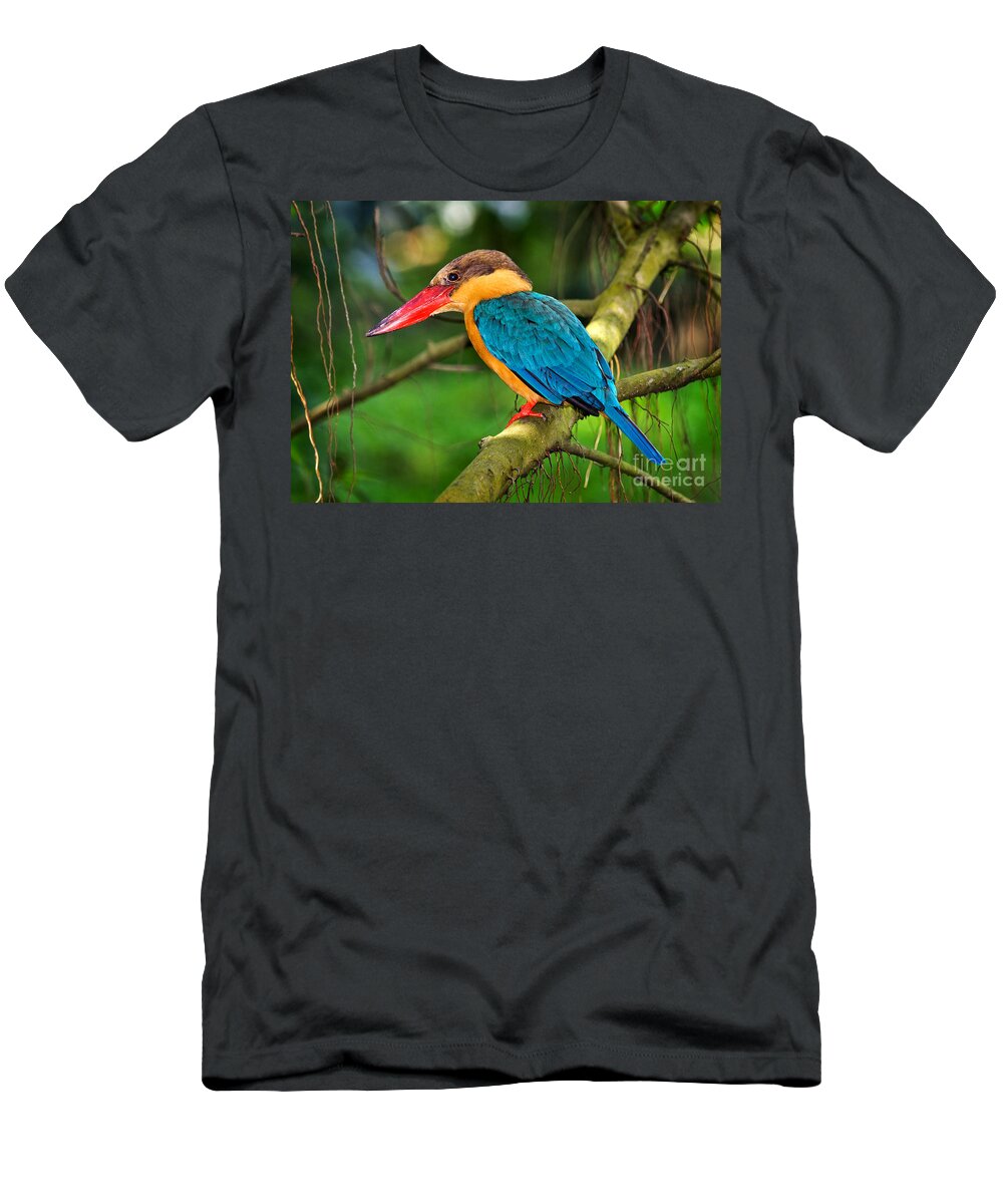 Bird T-Shirt featuring the photograph Stork-billed kingfisher by Louise Heusinkveld