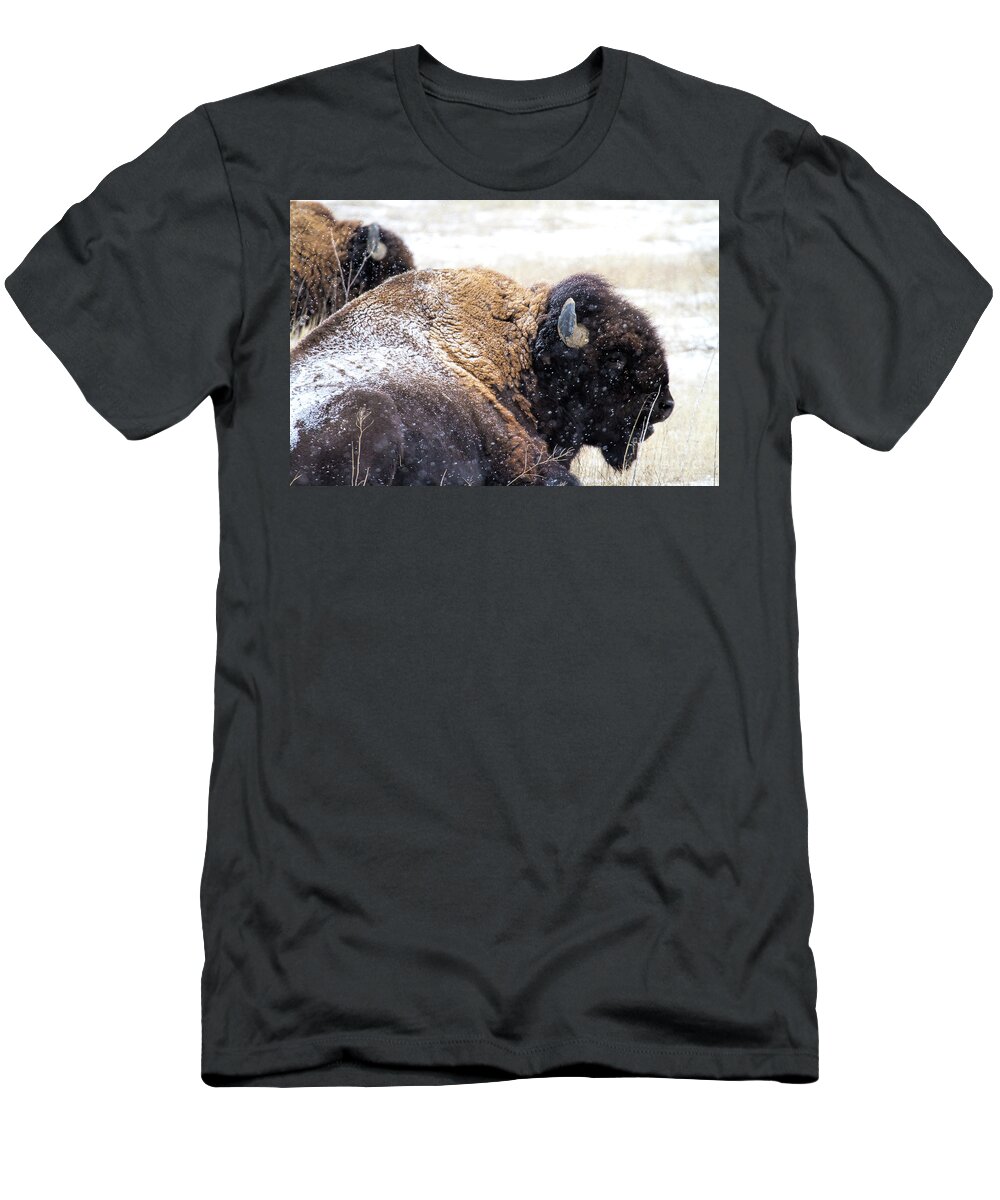 Buffalo T-Shirt featuring the photograph Storm Riders by Jim Garrison