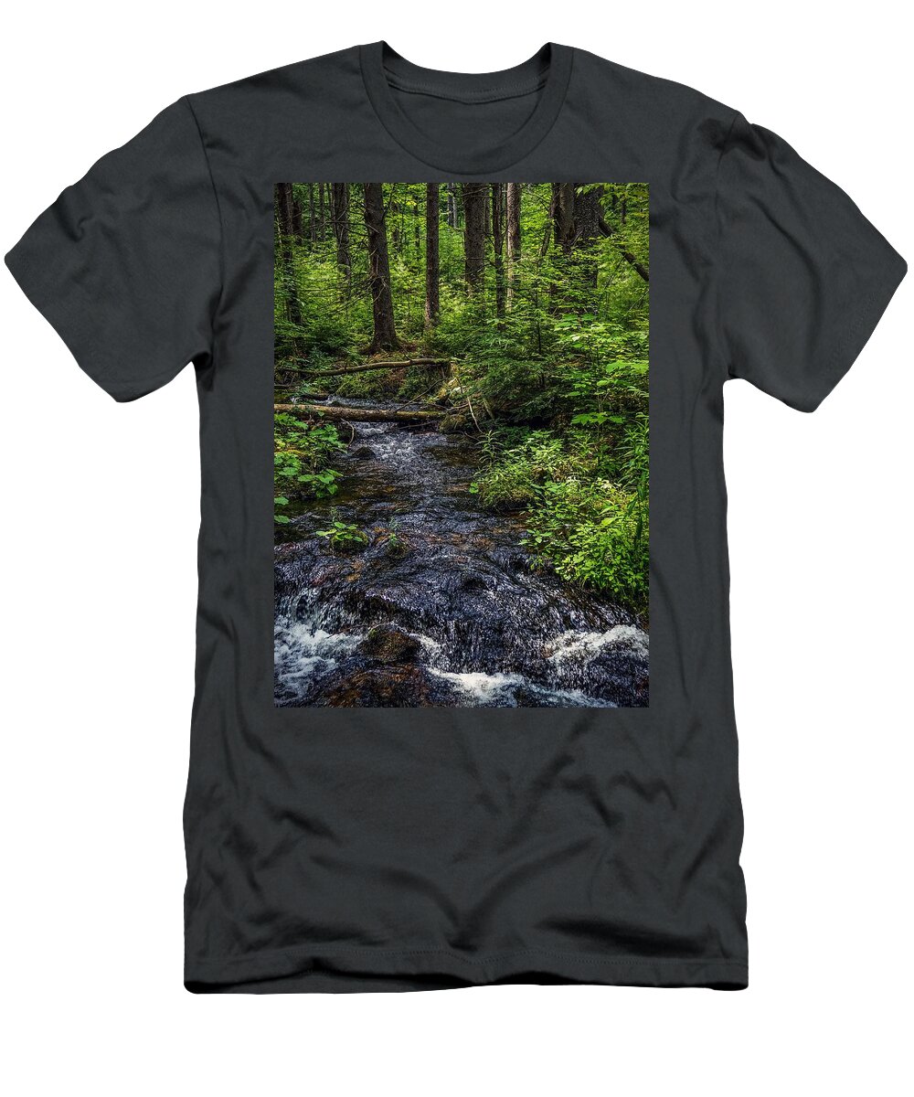  T-Shirt featuring the photograph Streaming by Kendall McKernon