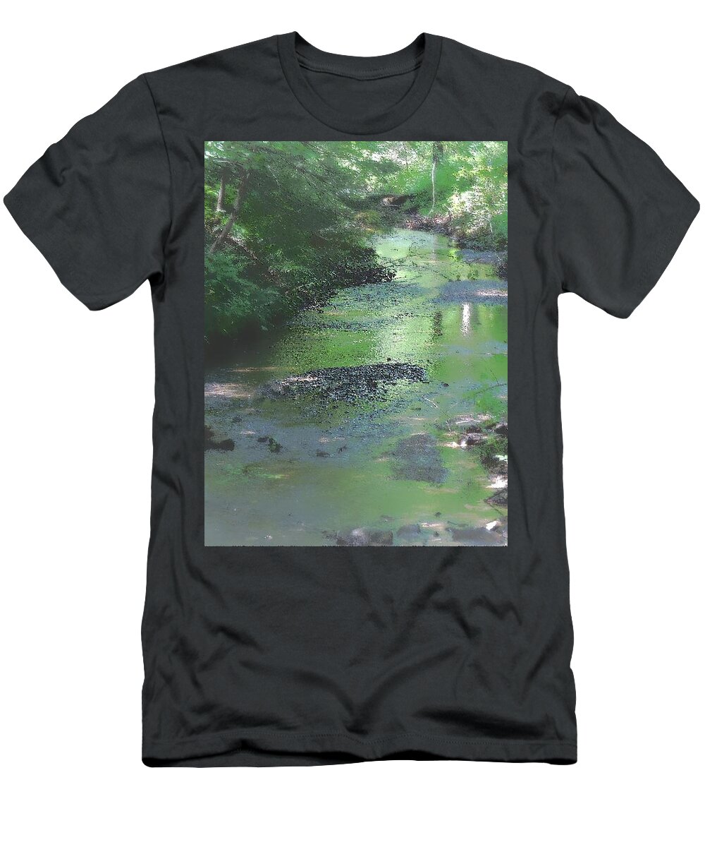 Landscapes T-Shirt featuring the photograph Streaming Summer Afternoon by Tami Quigley