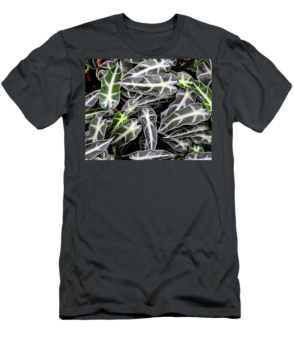 Houseplant T-Shirt featuring the photograph Stripes and Droplets by Lynda Lehmann