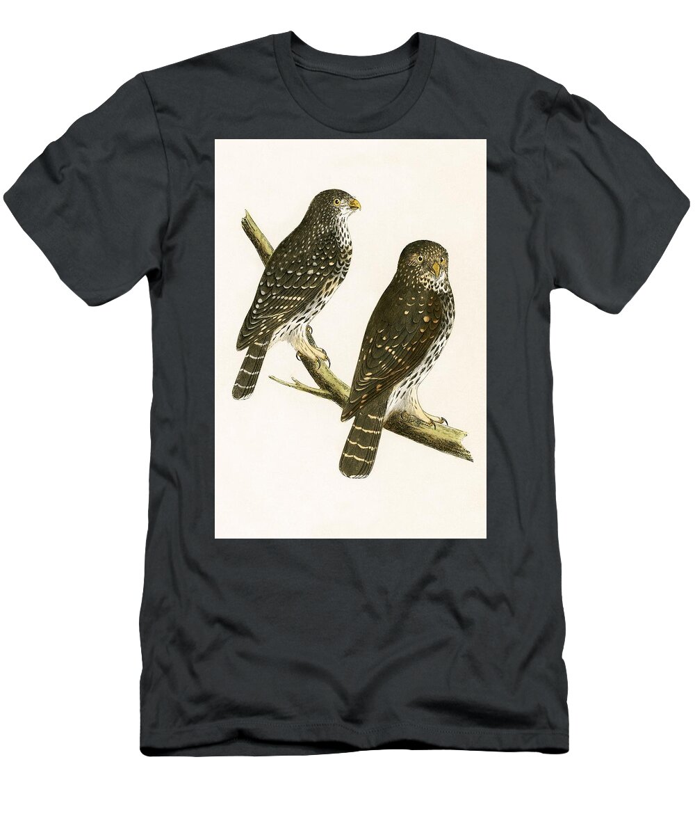 Bird T-Shirt featuring the painting Strix Pusilla by English School