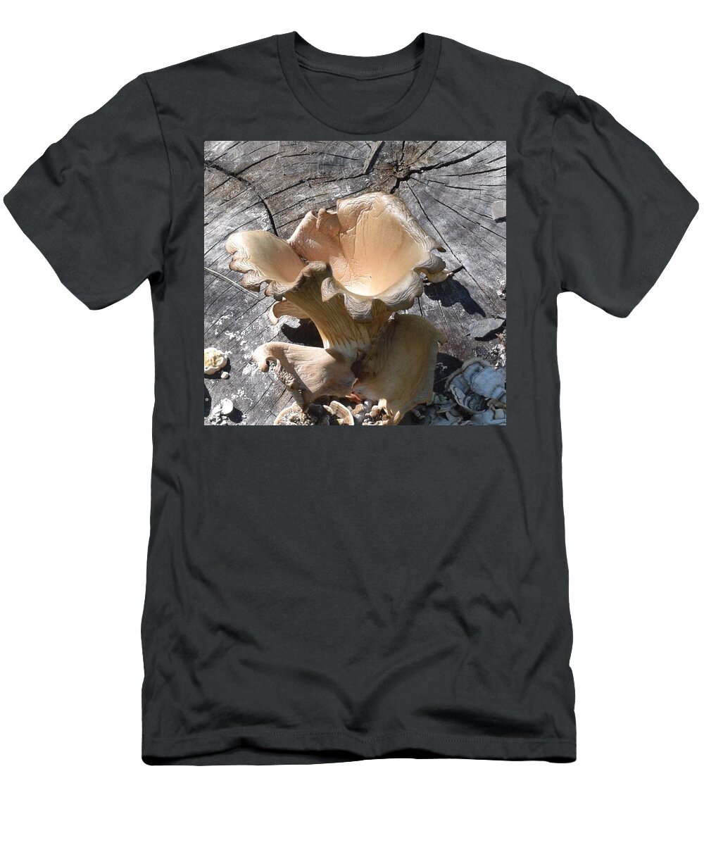 Mushroom T-Shirt featuring the photograph Stump Mushroom I by R Allen Swezey
