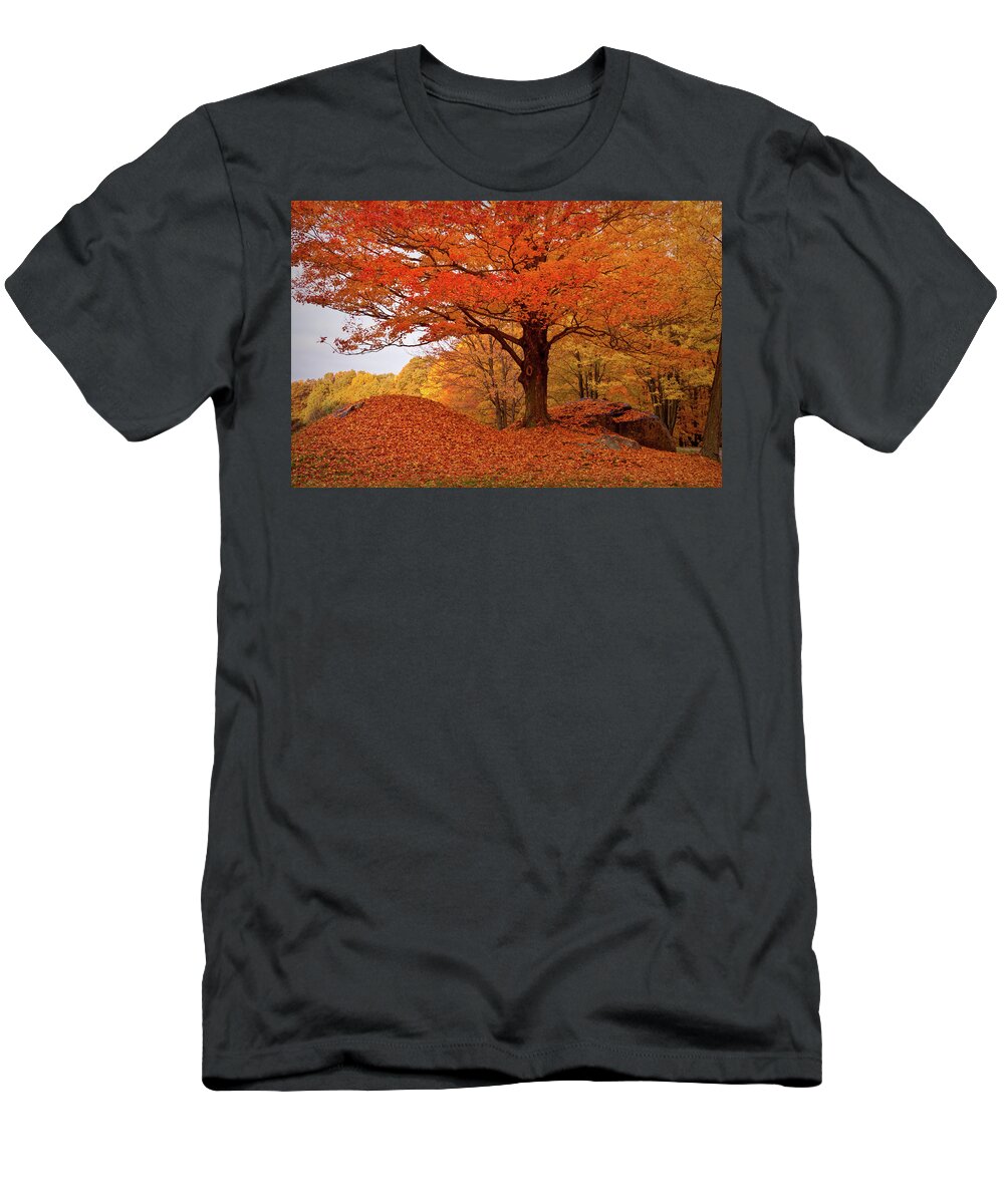 Peabody Massachusetts T-Shirt featuring the photograph Sturdy Maple in Autumn Orange by Jeff Folger
