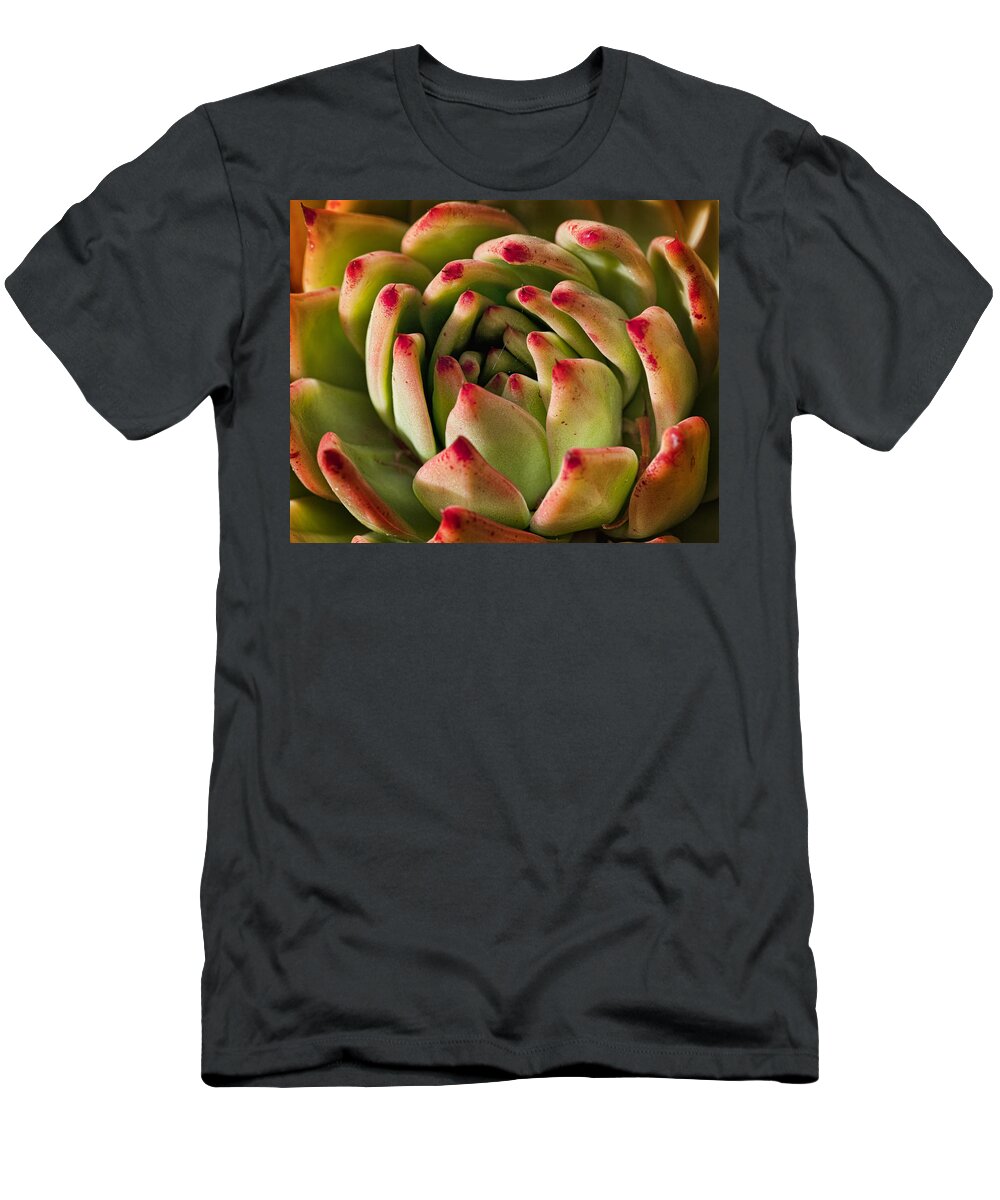Succulent T-Shirt featuring the photograph Succulent Petals by Kelley King