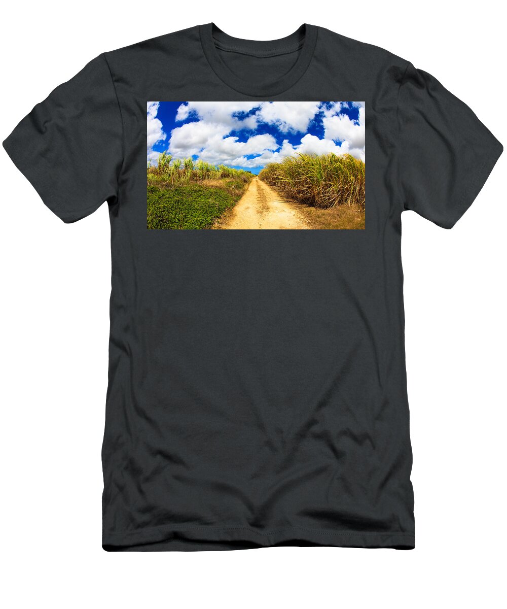 Barbados T-Shirt featuring the photograph Sugarcane Fields by Raul Rodriguez