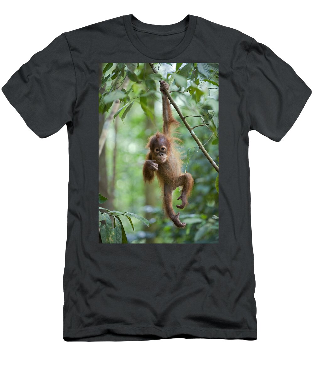 Mp T-Shirt featuring the photograph Sumatran Orangutan Pongo Abelii One by Suzi Eszterhas
