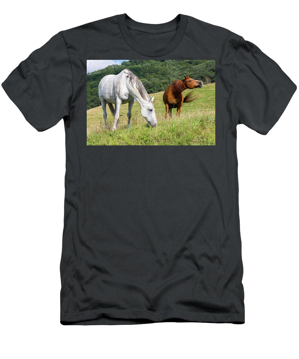 Horses T-Shirt featuring the photograph Summer Evening For Horses by D K Wall