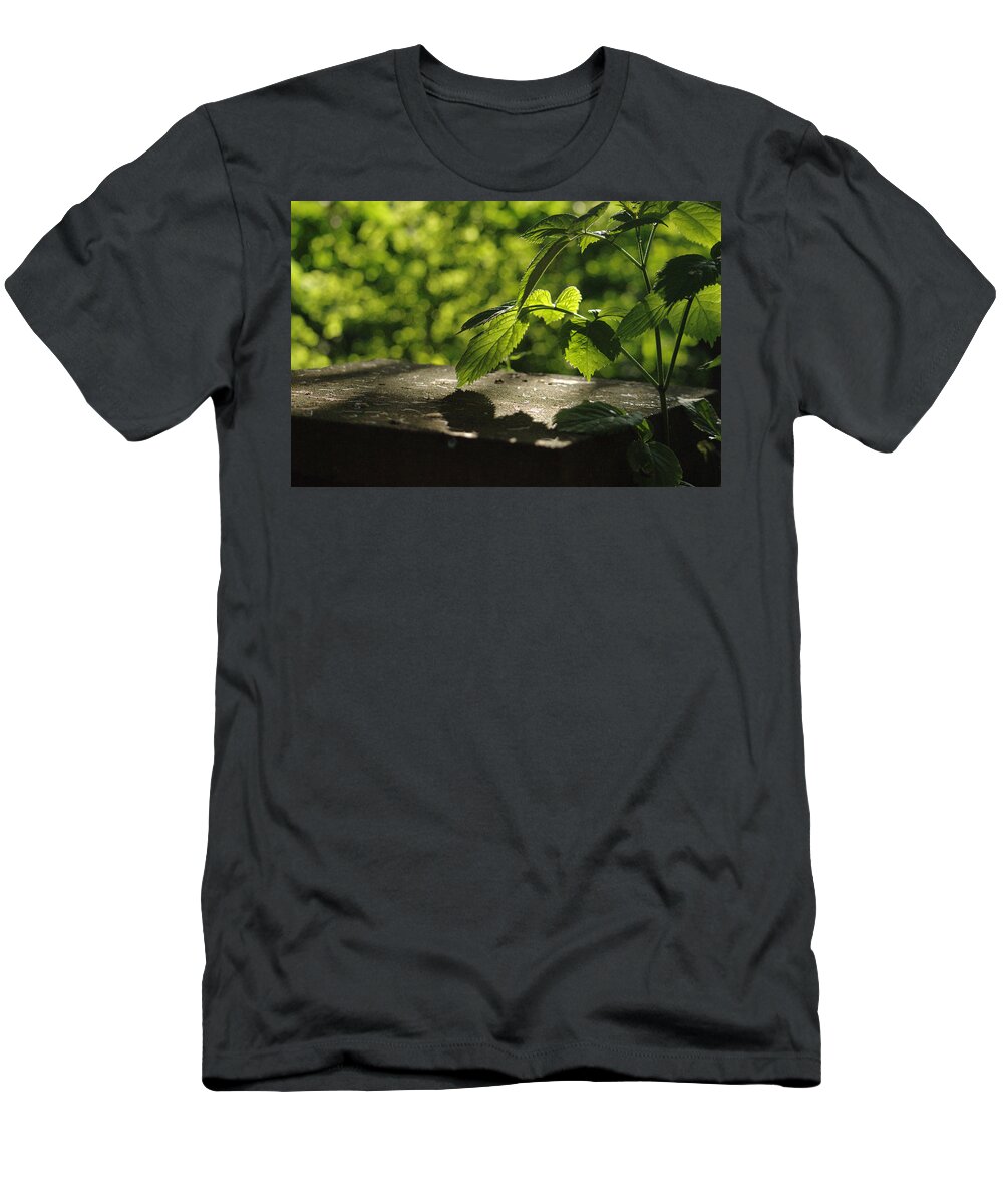 Landscape T-Shirt featuring the photograph Summer Evening Leaves by Adrian Wale