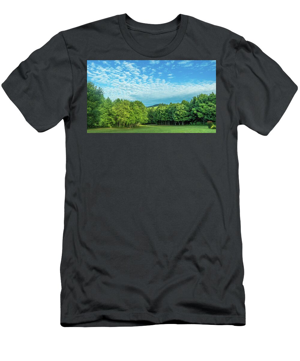 Trees T-Shirt featuring the photograph Summer Morning by Henri Irizarri