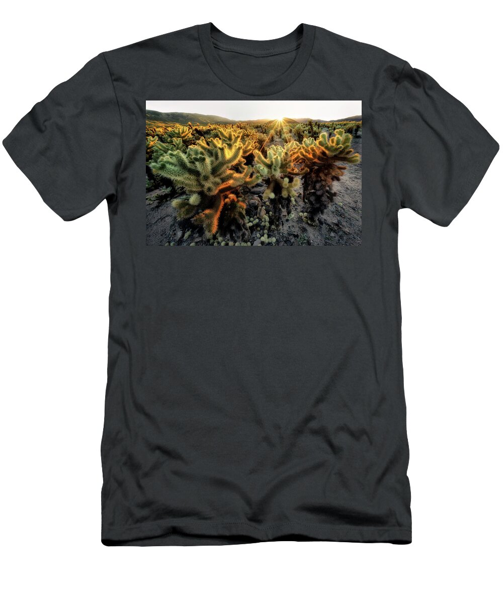 Desert T-Shirt featuring the photograph Sun Burst by Nicki Frates
