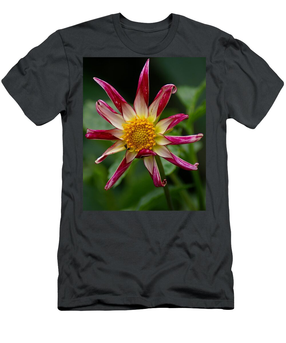 Nature T-Shirt featuring the photograph Sunburst Peppermint by Ben Upham III