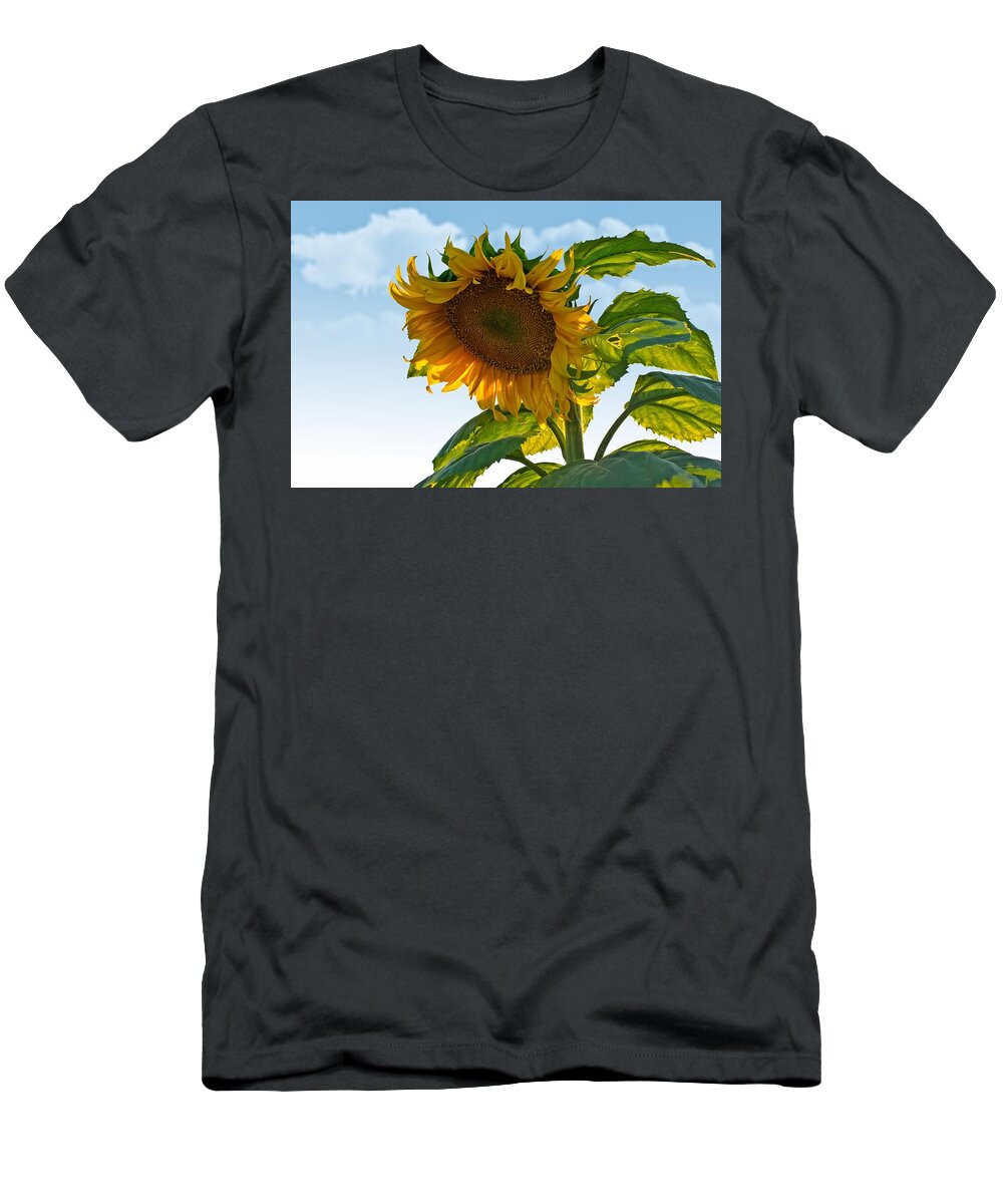  T-Shirt featuring the photograph Sunflower 04 by Robert Hayes
