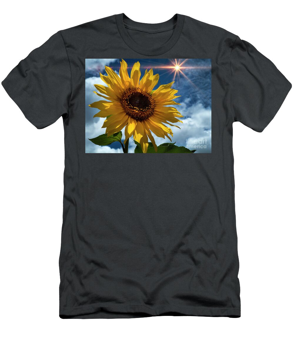 Sunflower T-Shirt featuring the photograph Sunflower Brilliance II by Al Bourassa