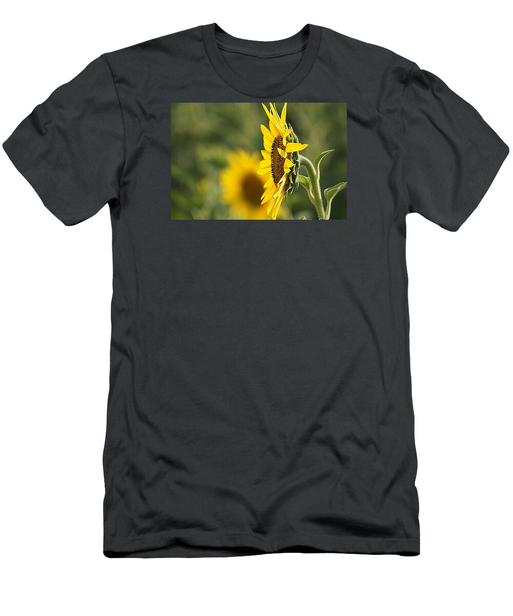 Sunflower T-Shirt featuring the photograph Sunflower Delight by Kathy Churchman